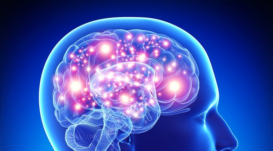 What is “Mental Capacity”?